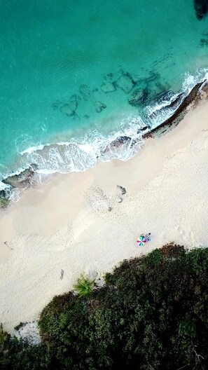 An aerial view of a beach with clear turquoise water, sandy shore, and sparse vegetation. - The Enchanted Reef come immerse yourself in relaxation and crystal clear waters (Vega Baja)