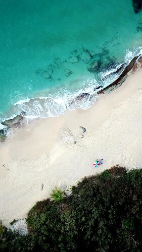 The Enchanted Reef come immerse yourself in relaxation and crystal clear waters