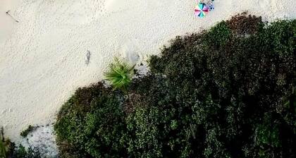 The Enchanted Reef come immerse yourself in relaxation and crystal clear waters