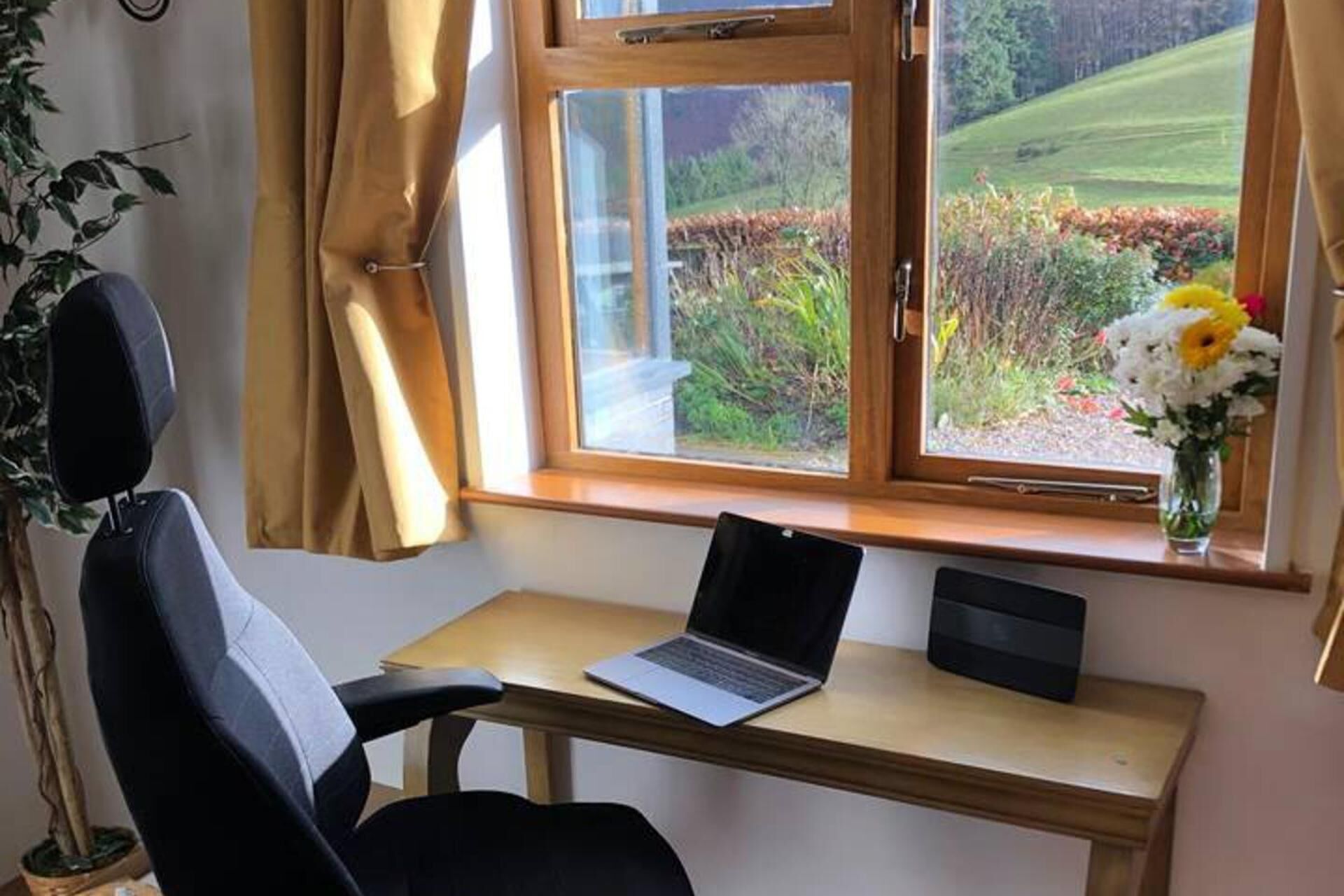 A room with a desk, two laptops, a potted plant, and a window with a view of a garden.