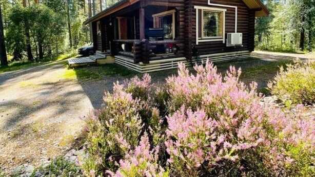 Une cabane en rondins dotée d’un porche, entourée d’une forêt dense et d’arbustes en fleurs.