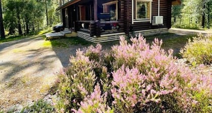 A Unique cottage in a pine forest by the lake