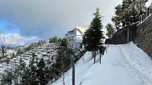 Pendiente nevada con un edificio moderno, árboles y un muro de piedra.
