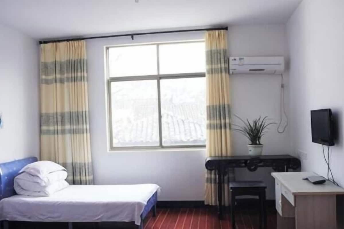 A hotel room with a bed, a desk, a chair, a potted plant, a TV, and a window with curtains.