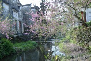 Unclassified image, 4 of 40, button - Qingyuan Farm Stay (Wuyuan)
