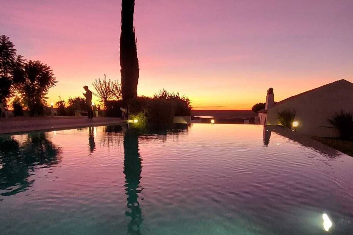An infinity pool with a clear view of the sunset, a tall tree, and a building in the background.