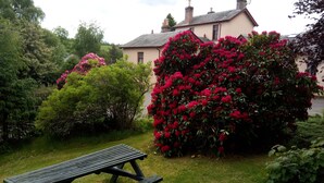A garden with a wooden picnic table, lush greenery, and a house in the background.