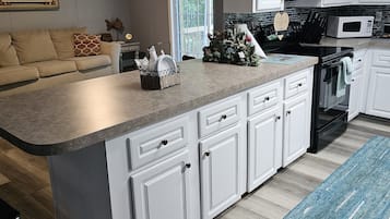 Frigorífico, microondas, horno y placa de cocina