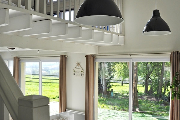 TV, DVD player, table tennis