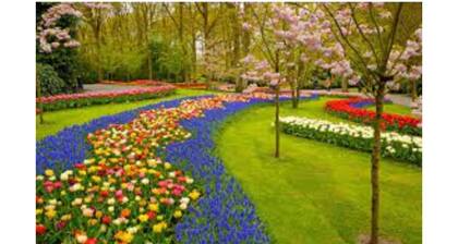 Master's Week on Main Street