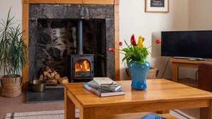 A cozy living room with a stone fireplace, a television, and a wooden coffee table with books and a vase of tulips. - Wynford Holiday Cottages (Aberdeen)
