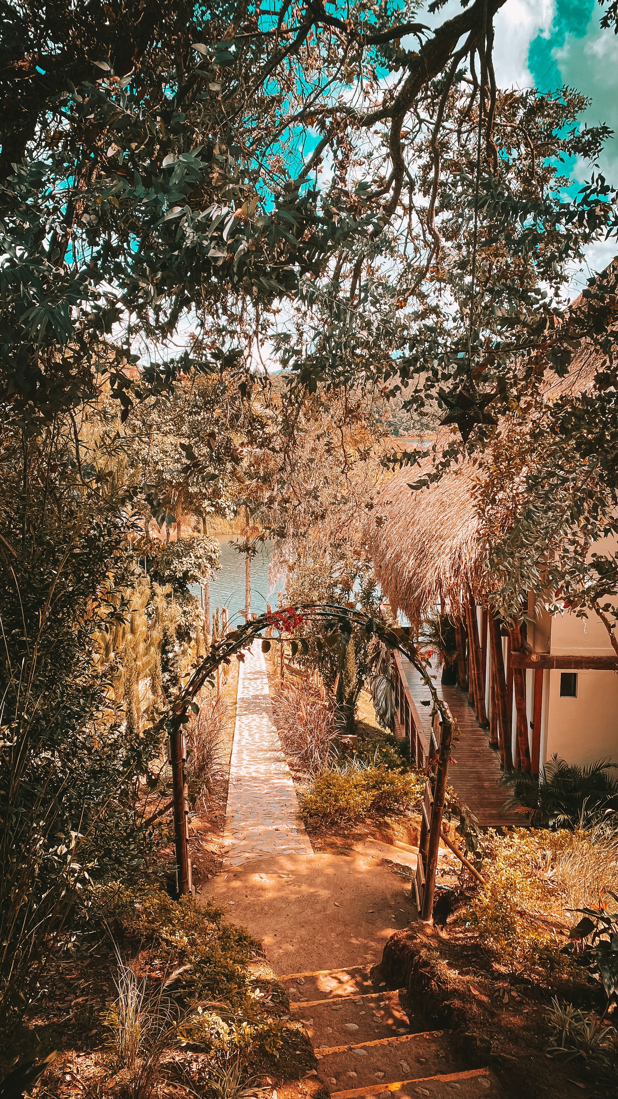 Premium Cabin, 1 Bedroom, Lake View | Terrace/patio