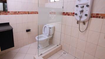 Shower, bidet, towels