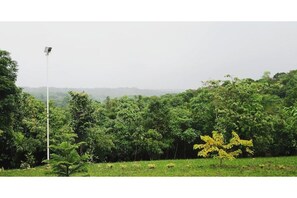 Terrain de l’hébergement 