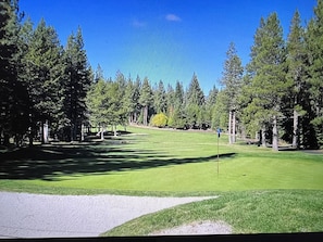 Enjoy a round of golf amidst lush greenery and scenic fairways.