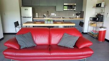 Smart TV, Netflix, streaming services