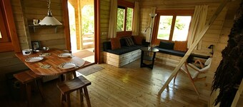 Chalet Long-eared Owl on small-scale nature campsite 't Ol Gat