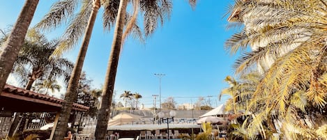 21-inch flat-screen TV with cable channels, TV