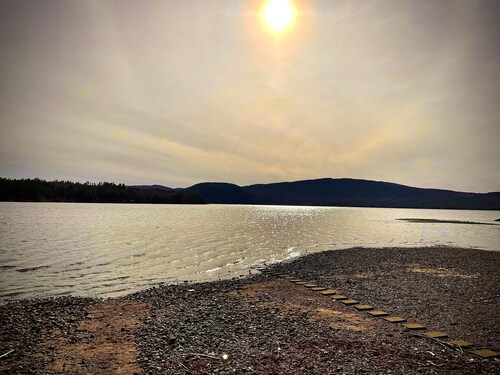 Studio Cottage Getaway Blossoms Cottage #5