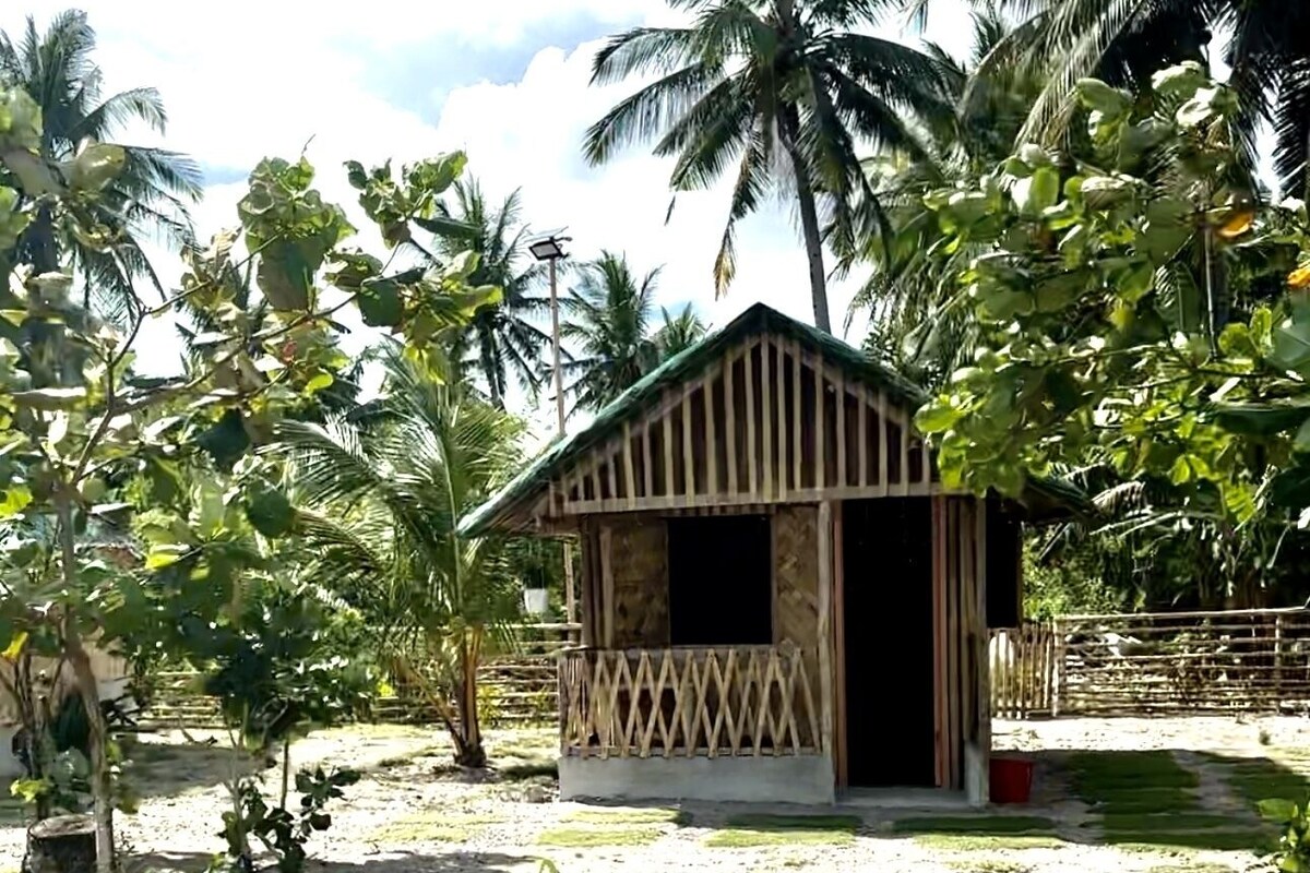 A small wooden structure with a sloped roof, surrounded by palm trees and a grassy area.
