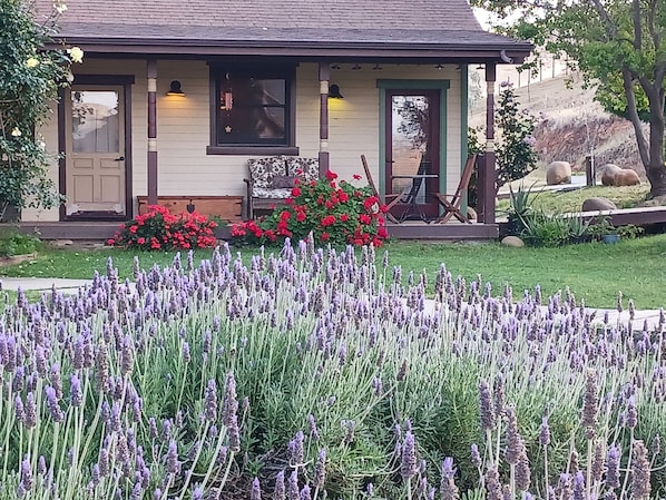 Exterior - Sequoia Park Foothill Ranch scenic views, luxury ranch house suite, pool horses (Exeter)