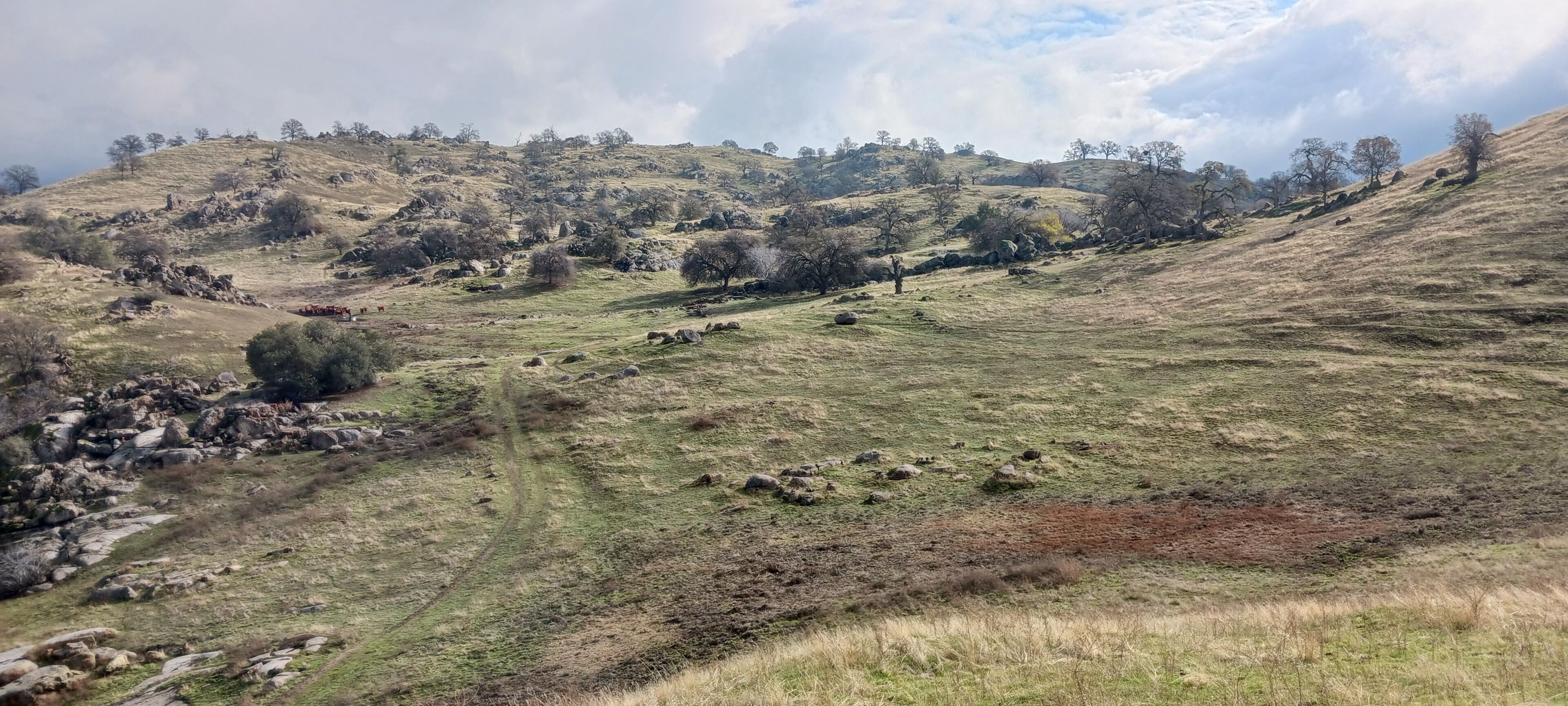 A hilly landscape with scattered trees and a clear sky.