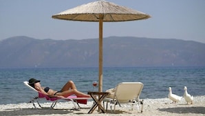A beach scene with a person relaxing under a straw umbrella, two white ducks on the shore, and a clear view of the sea and distant mountains. - Sami Beach Hotel (Kefalonia)