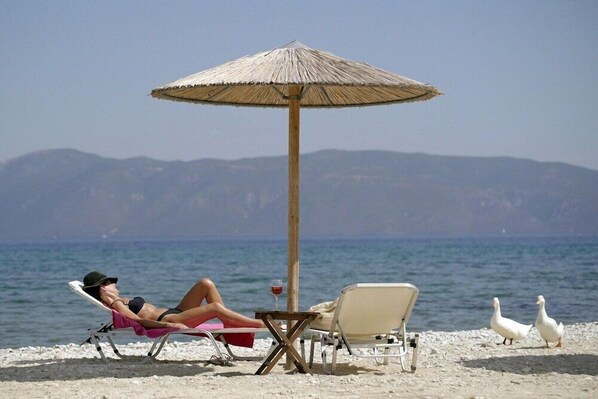 A beach scene with a person relaxing under a straw umbrella, two white ducks on the shore, and a clear view of the sea and distant mountains. - Sami Beach Hotel (Kefalonia)