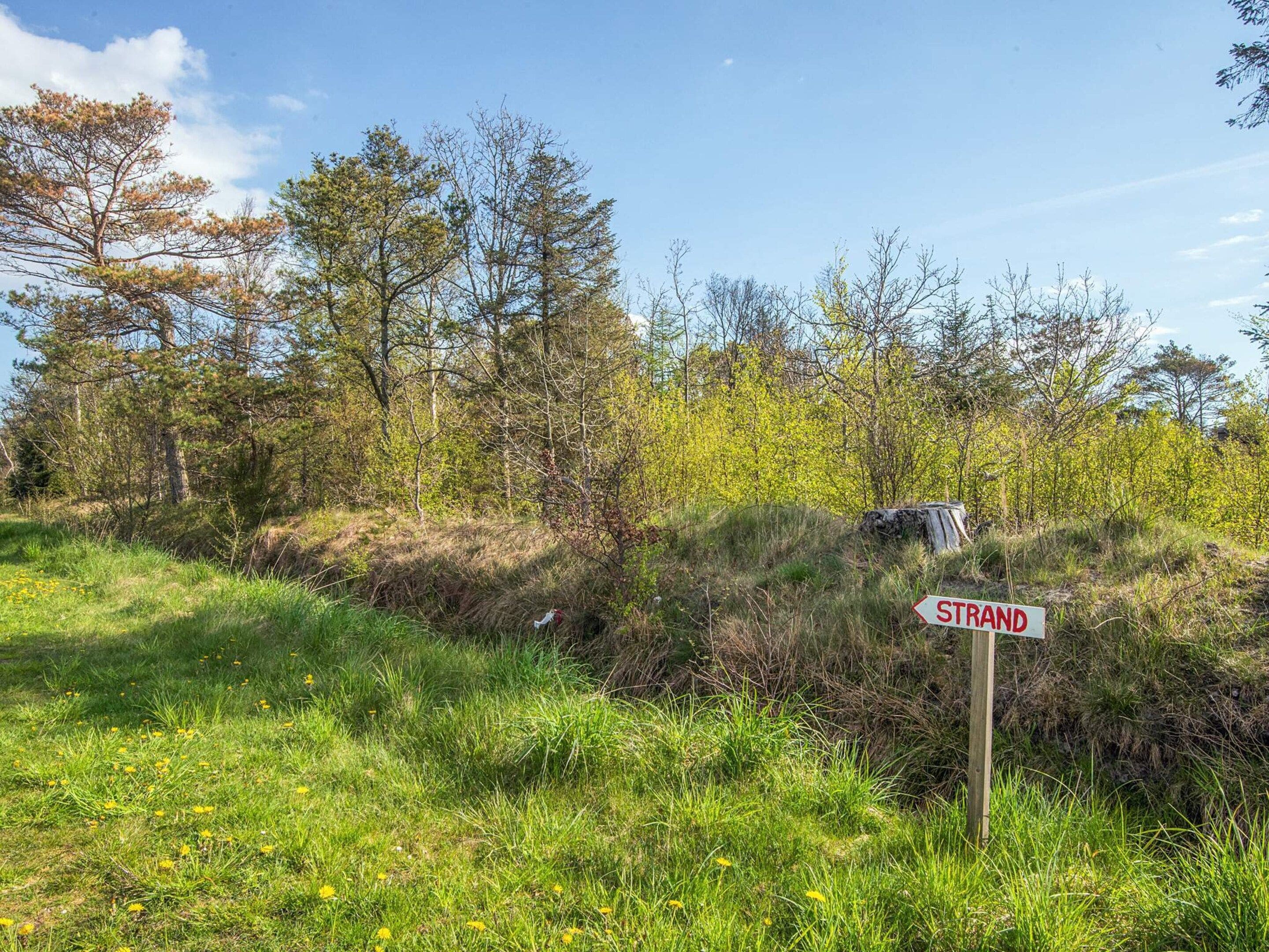 Et naturligt landskab med et skilt der står 'STRAND', der angiver en strand eller kystområde.