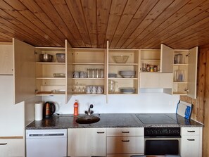 Fridge, stovetop, dishwasher