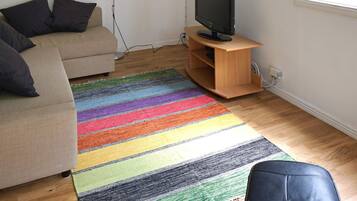 A living room with a sofa, a television on a wooden stand, a colorful striped rug, and a window.