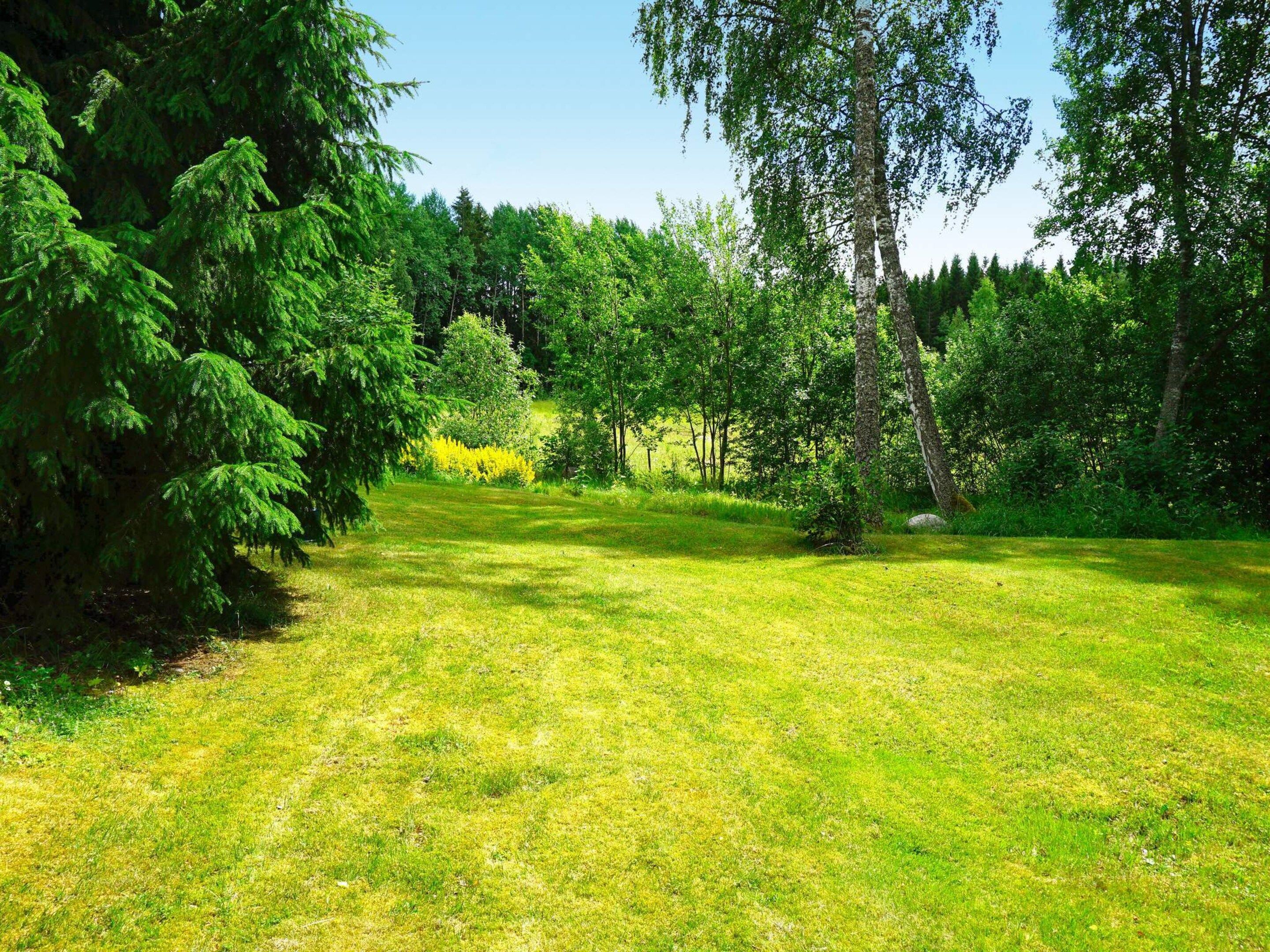 A grassy field with trees and a clear sky.
