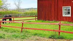 A red barn with a window, a fenced area with a horse, and a green field. - 5 Person Holiday Home in Flen (Flen)