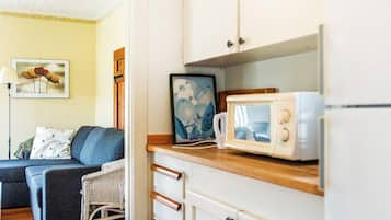A compact living space with a kitchenette, a sofa, a wicker chair, and a framed picture on the wall.