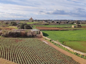 Exterior - Joseluce Guesthouse (Gudja)