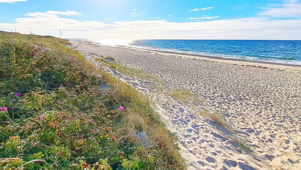 A beach with a clear sky and sunlight. - 5 Person Holiday Home in Frederiksvaerk (Frederiksvaerk)