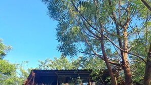 Family Quadruple Room, 1 Bedroom, Garden View, Garden Area | Memory-foam beds - Planta Glamp Farm (Santa María Huatulco)