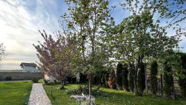 A stone pathway leading to a house with a garden featuring a variety of plants and flowers.