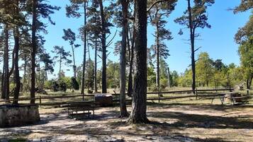 A park with benches, trees, and a clear sky.