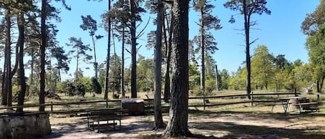 A park with benches, trees, and a clear sky.