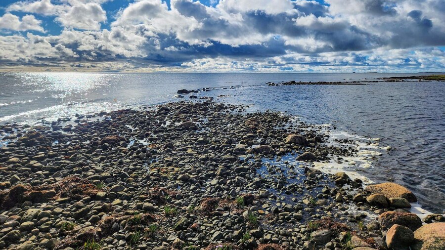 5 Person Holiday Home in Haltorp-by Traum