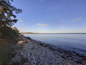 A pebbled beach with a calm sea, trees, and a clear sky. - 5 Person Holiday Home in Haltorp (Halltorp)