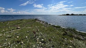 A coastal landscape with a grassy area, rocky shore, and a distant island. - 5 Person Holiday Home in Haltorp (Halltorp)
