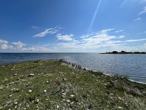 Eine Küstenlandschaft mit einer grünen Fläche, felsigem Ufer und einer entfernten Insel.