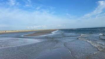 A beach with wide sandy shores and gentle waves.