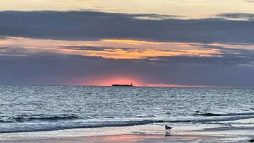 Ferienhaus | Blick auf das Wasser