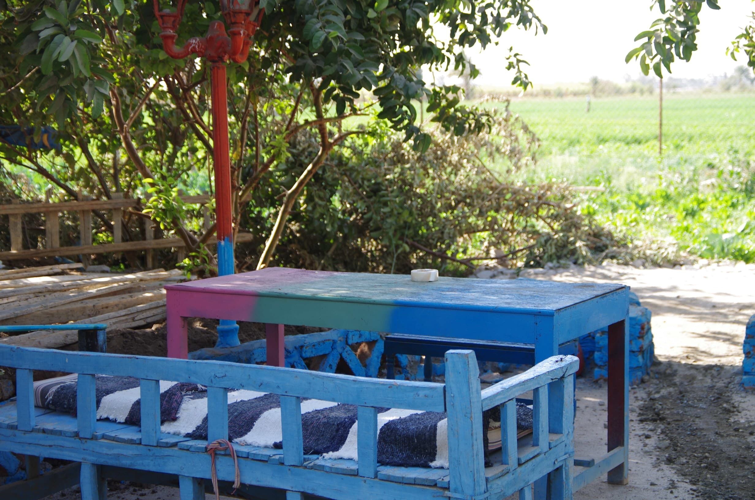Garden view