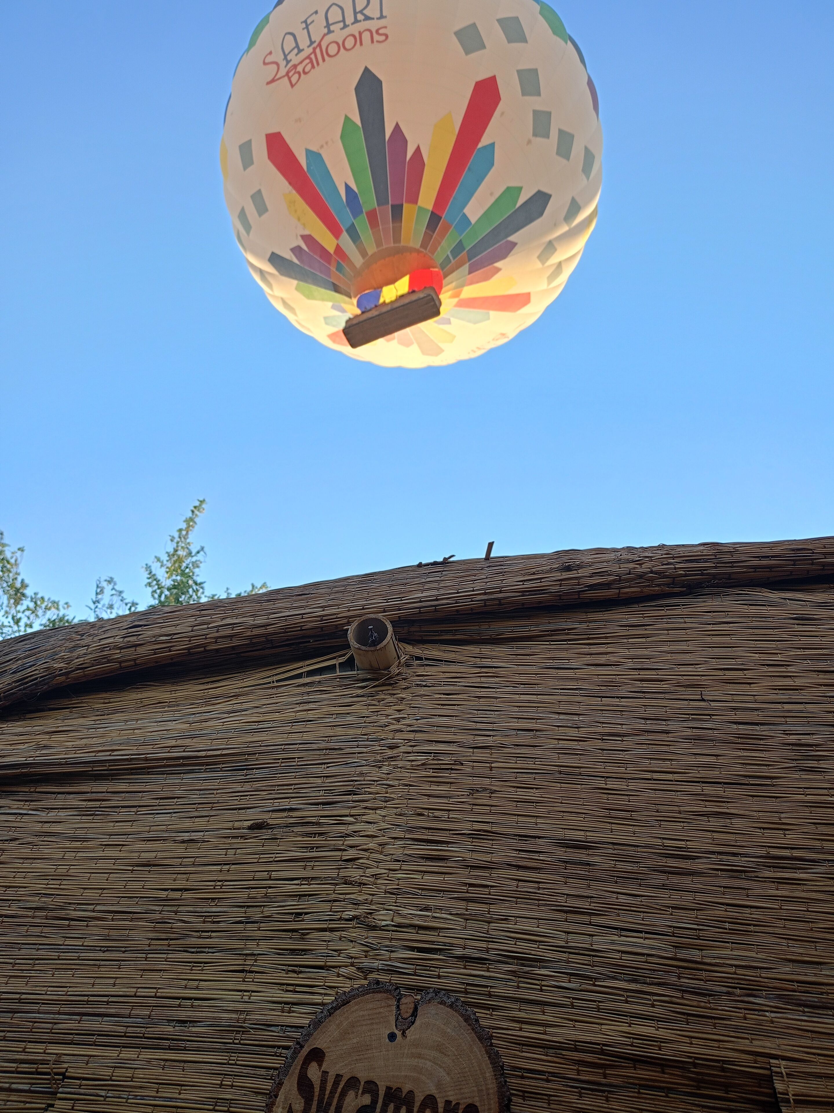 Photo - Bedouin Lodge Luxor