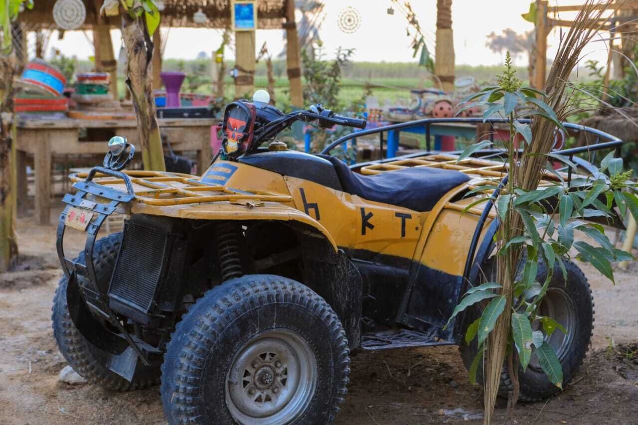 Photo - Bedouin Lodge Luxor