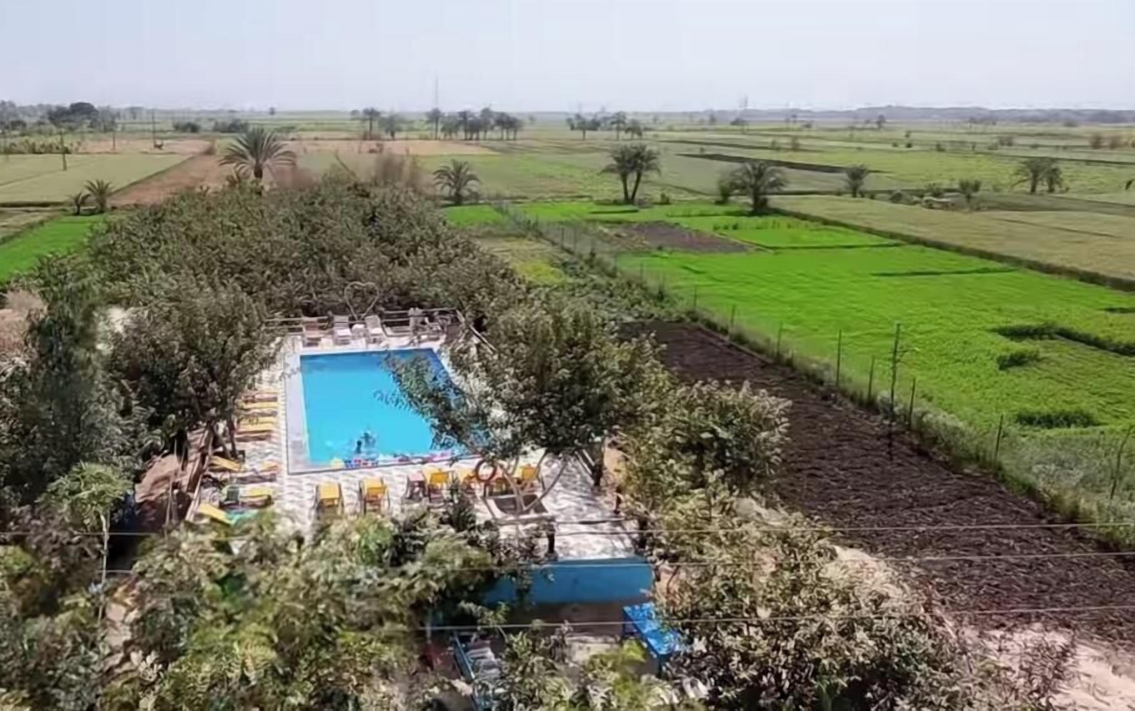 Foto - Bedouin Lodge Luxor